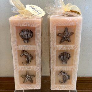 Seascaped Scented Pillar Candle 8" x 3" Carved Sea Shells Starfish Scallops NEW